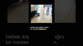 Bebek ve Köpek köpekler köpekadam çağrıaracı köpek bebekveköpek köpekbakımı köpekbedendili [upl. by Marlow]