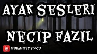 AYAK SESLERİ ŞİİRİ  NECİP FAZIL KISAKÜREK [upl. by Quiteris]