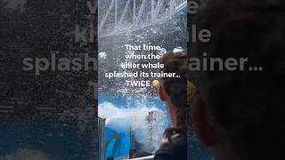 Killer whale splashed the trainer two times 😆 seaworld seaworldorlando [upl. by Betsy]