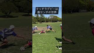 touch rugbymatrix world touchrugby [upl. by Guy511]