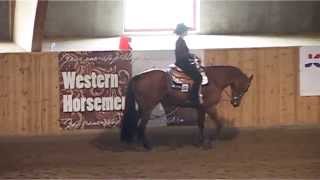 Bökeberg Challenge May 2014  Western Pleasure Senior [upl. by Fin]