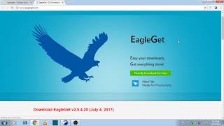 How to Download and Use Eagleget complete in UrduHindi [upl. by Annodam]