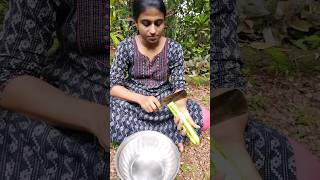 Ridge gourd Dry Prawn RecipeThaloli varavu shorts Beechassky [upl. by Klemm242]