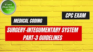 INTEGUMENTARY SYSTEM GUIDELINES AND PRACTICE QUESTIONS PART3  MEDICAL CODING [upl. by Farrica884]