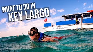 Snorkeling Key Largo  Floridas John Pennekamp State Park [upl. by Ayotol314]