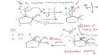 E1 Reaction with Rearrangement [upl. by Glynias907]