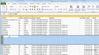 Cómo insertar columnas y filas en Excel [upl. by Francisca210]