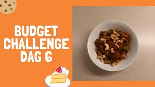 Budgetchallenge dag 6 een wokgerecht met kip 172 [upl. by Ahsin780]