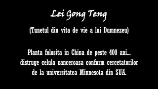 Lei Gong Teng in Romania [upl. by Cohla]