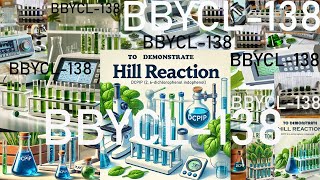 BBYCL 138 EXP  To Demonstrate Hill Reaction  Botany  IGNOU  BSCG [upl. by Sirc]