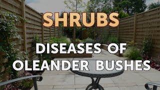 Diseases of Oleander Bushes [upl. by Andromede]