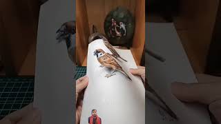 Americans Got Talent Two Sparrows americansgottalent americantalent art animals funny shorts [upl. by Ahsem]