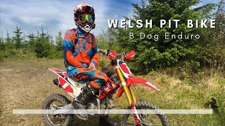 Best of Welsh Pit Bike  140 Race [upl. by Eidnalem]