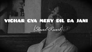 VICHAR GYA MERY DIL DA JANI Slowed and Reverb Nfak qawwali [upl. by Okimat]