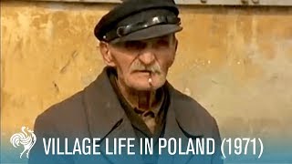 Village Life In Poland Rural Living 1971  British Pathé [upl. by Walcott522]