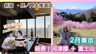 【 TOKYO 秘景看🌸】富士山🗻河津櫻公園｜新宿、虎ノ門5星家庭酒店｜40高樓鐵板燒餐廳｜ 東京都100￼名城 Ida Hui [upl. by Crist263]