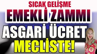 Emekli Zammı Asgari Ücret Mecliste [upl. by Ecire531]