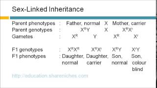 SexLinked Inheritance  Colour Blindness  Inheritance [upl. by Fisa]