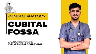 Cubital fossa Upper Limb Anatomy  First Year MBBS  Anatomy lectures by Ashish [upl. by Eduj267]