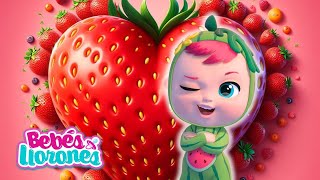 CORAZÓN de FRESA 🍓 TUTTI FRUTTI Bebés Llorones Lágrimas Mágicas 💕 CAPÍTULOS COMPLETOS en español [upl. by Gilud]