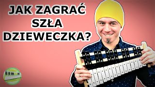 SZŁA DZIEWECZKA 🎶  Dzwonki chromatyczne cymbałki Instrumental cover amp tutorial Nuty [upl. by Uolyram]