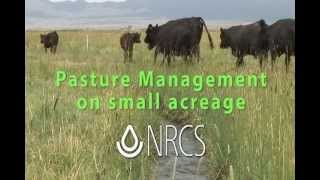 Small Pasture Management cc [upl. by Anitsud]