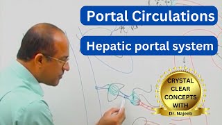 Portal Circulation  Digestive Tract Liver and Kidneys 👨‍⚕️ [upl. by Anaujit]