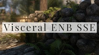 Skyrim Special Edition Visceral ENB SSE 2019 [upl. by Llerrac]