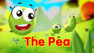 The Pea  Toyor Baby English [upl. by Eelarual816]