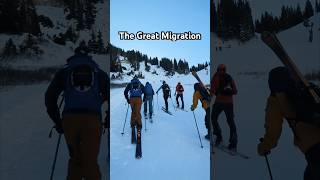 Behold The Great Migration snowboarding skiing splitboarding [upl. by Ahsineg986]