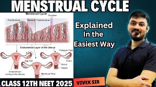 Menstrual Cycle Explained  Human Reproduction class 12  Part7  by Vivek Sir [upl. by Atteselrahc]