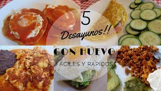 5 Desayunos o Almuerzos con Huevo  Desayunos Faciles y Rapidos  Erika Blop [upl. by Seiuqram826]