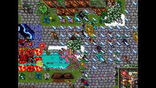 CRAZIEST TIBIA SERVER IN THE WORLD  ONLINE FOR 20 YEARS [upl. by Eal]