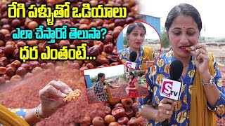 రేగి పండుతో వడియాలు తయారీ  Regi Vadiyalu In Telugu  Regi Pachadi  Jujube Fruit Recipe [upl. by Sullecram821]