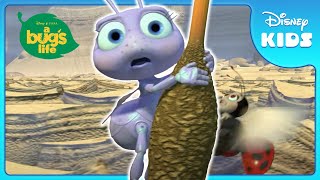 🐞 Can Francis Save the Little Ant in Time  A Bugs Life  Disney Kids [upl. by Akilegna]