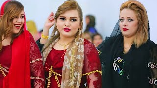 Best Kurdish wedding dance 2024 [upl. by Pembroke]