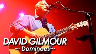 PINK FLOYD：DAVID GILMOUR 『Dominoes Acoustic Version by Syd Barrett 』2002 by miu JAPAN [upl. by Gerrald]