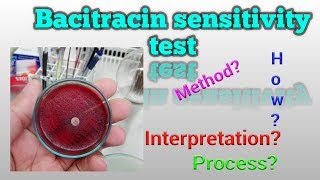 Bacitracin Sensitivity Test Microbiology [upl. by Tobie]