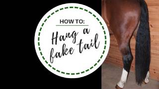 How To Hang a Fake Tail [upl. by Tacy]