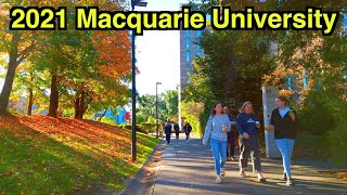 【4K】 🇦🇺 Macquarie University Tour  Central Courtyard  Macquarie Library  Sydney Walking Tour [upl. by Ylrebmyk452]