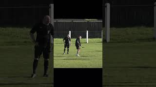 Game Interrupted as Groundsman Clears Dog St off the Pitch  Funny Football shorts [upl. by Joachim]