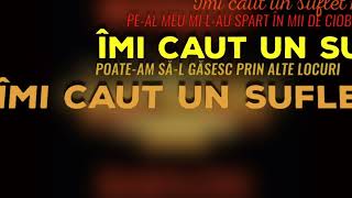 Bosquito  Suflet nou  Official Lyric Video [upl. by Ogata]