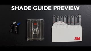 Custom Shade Guide for Teeth 3M Products [upl. by Trautman185]