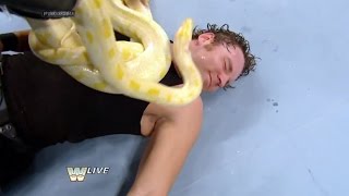 Dean Ambrose Happy Funny moments 20132016 [upl. by Sherlocke915]