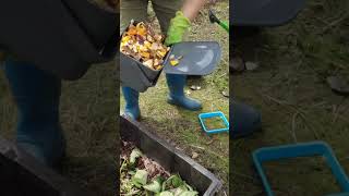 Create Compost in 3 Weeks ONLY gardening compostingprocess [upl. by Marilee992]