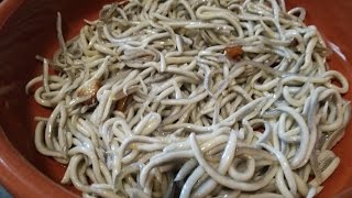 Cómo hacer gulas al ajillo al estilo de Mariaje [upl. by Deutsch]