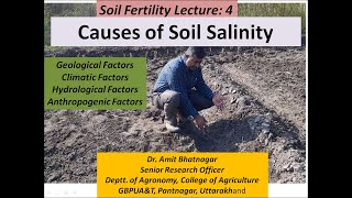 Causes of Soil Salinity [upl. by Georgette]