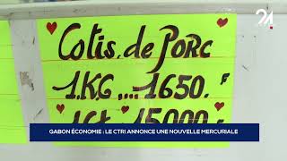 GABON ÉCONOMIE LE CTRI ANNONCE UNE NOUVELLE MERCURIALE [upl. by Aleihs]