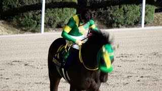 【JBCクラシック2024】感極まる川田将雅 地元の佐賀GⅠを勝ち 観客へヘルメットを取って一礼ウィルソンテソーロも一緒にお辞儀 現地映像 [upl. by Towney]