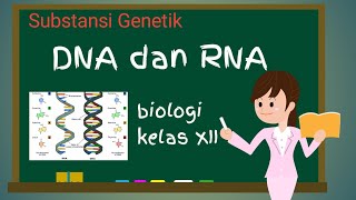 DNA Dan RNA Kelas 12  Materi Biologi Substansi Genetik Bagian 1 [upl. by Avah]